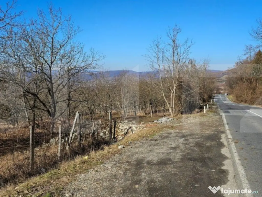 Teren de 30 de ari, Dumitra, 5km de Bistrita