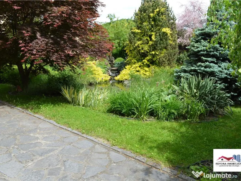 Casa Superba de Mobilata Lux in Sangeorgiu de Mures 