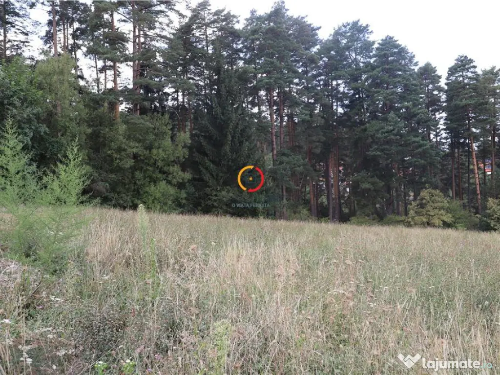 Teren intravilan cu PUZ si PUD 3 loturi