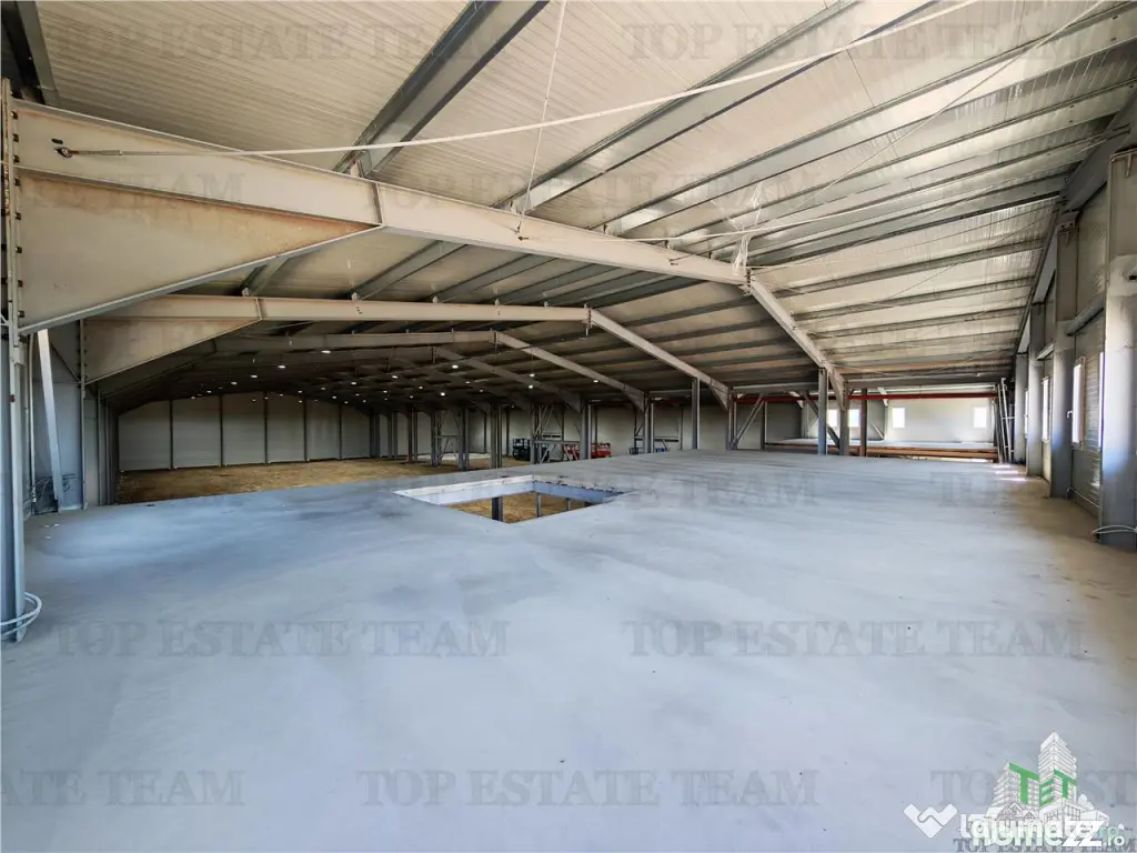 Hala Industriala Balotesti - Spatiu Generos si Accesibilitat 