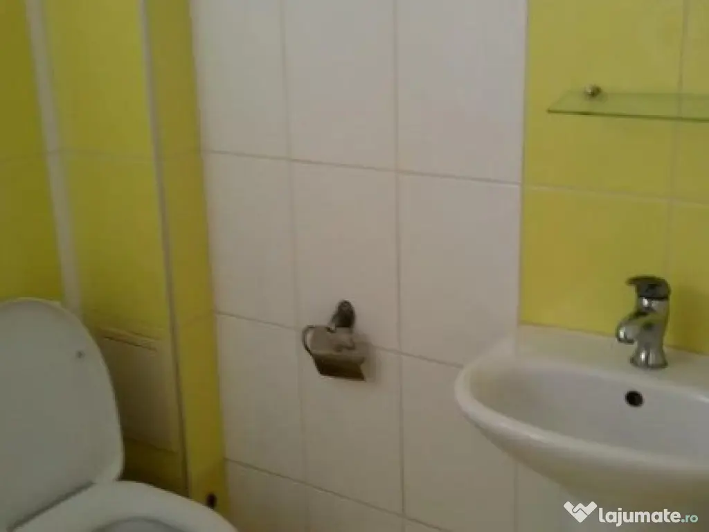 Garsoniera in zona Buziasului