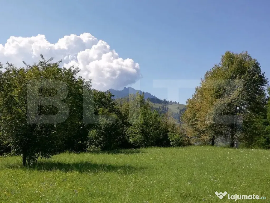 Teren 2500 mp, la strada, Ceahlau,, locatie perfecta