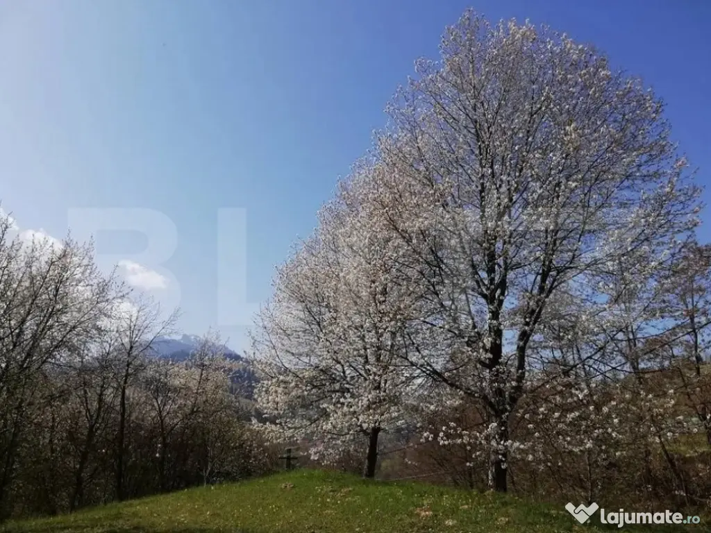 Teren 2500 mp, la strada, Ceahlau,, locatie perfecta