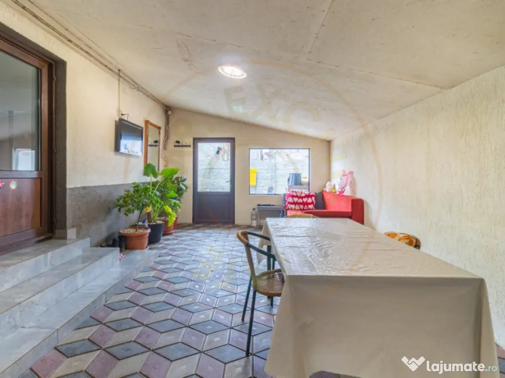 Casa 5 camere Domnesti-Teghes 