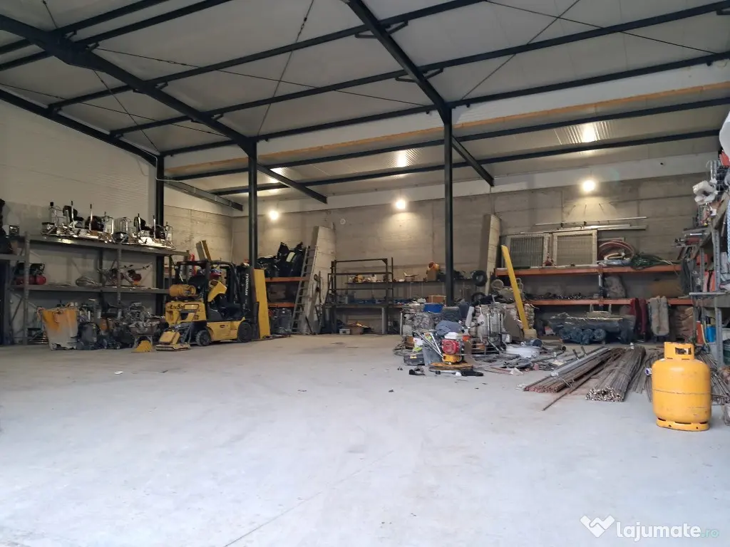 Hala NOUA 2024, sup.construita 398 mp Suceagu 