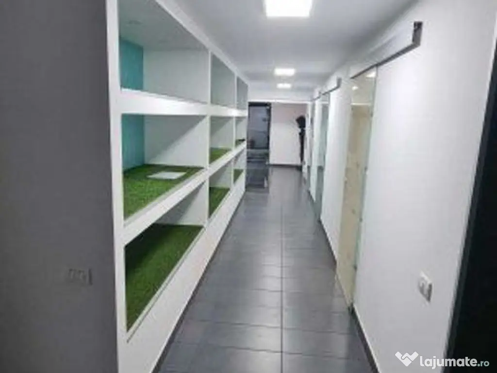 Basarabiei spatiu comercial cu teren si constructie locui... 