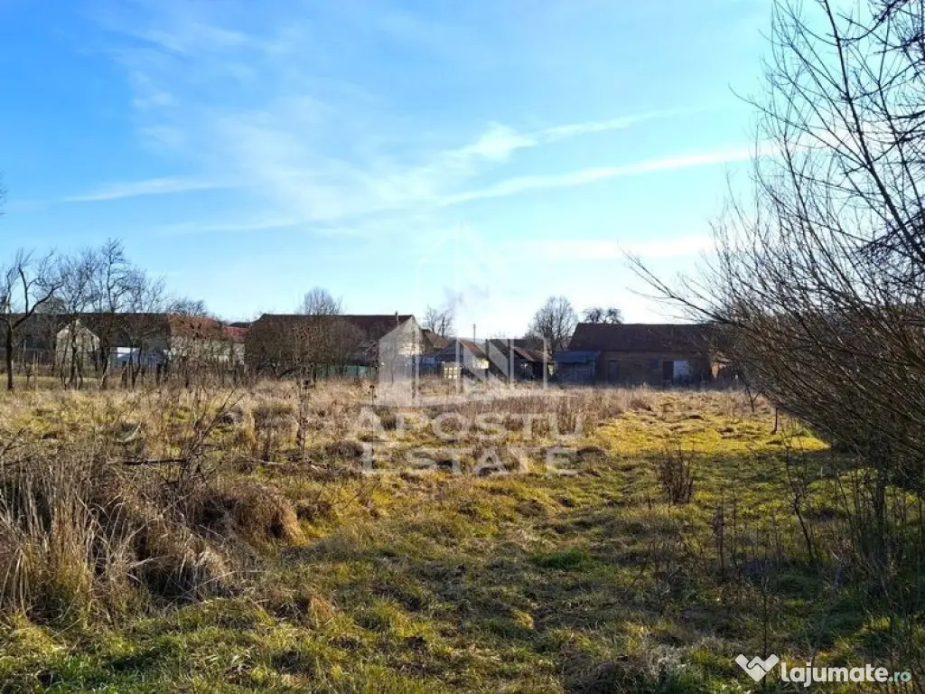 Casa de caramida in Tela si Teren Generos de 4320 mp 