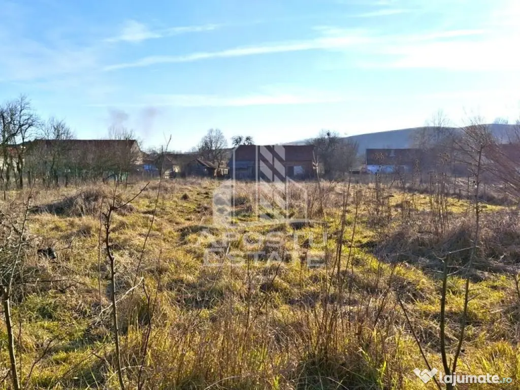 Casa de caramida in Tela si Teren Generos de 4320 mp 