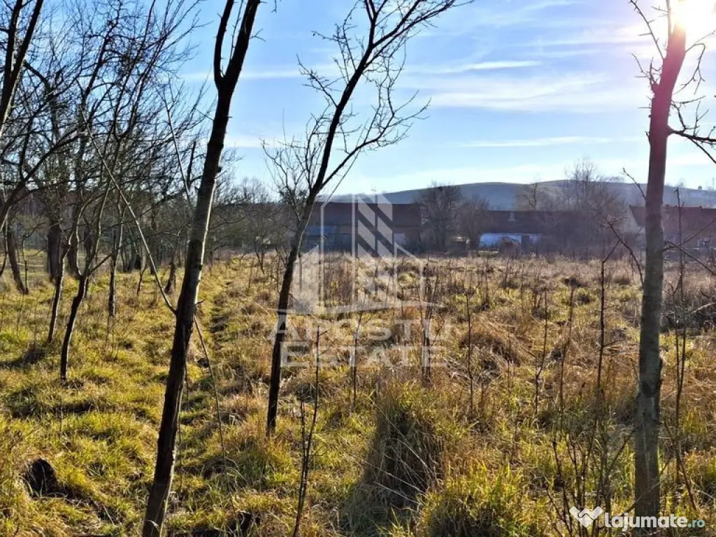 Casa de caramida in Tela si Teren Generos de 4320 mp 