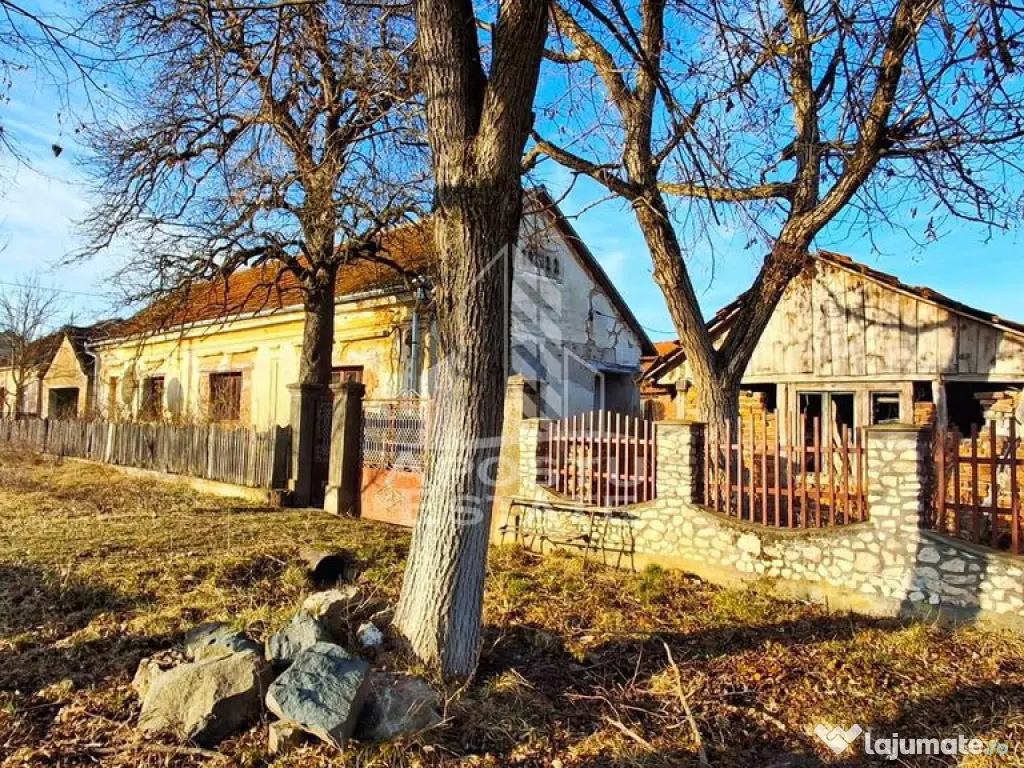 Casa de caramida in Tela si Teren Generos de 4320 mp 
