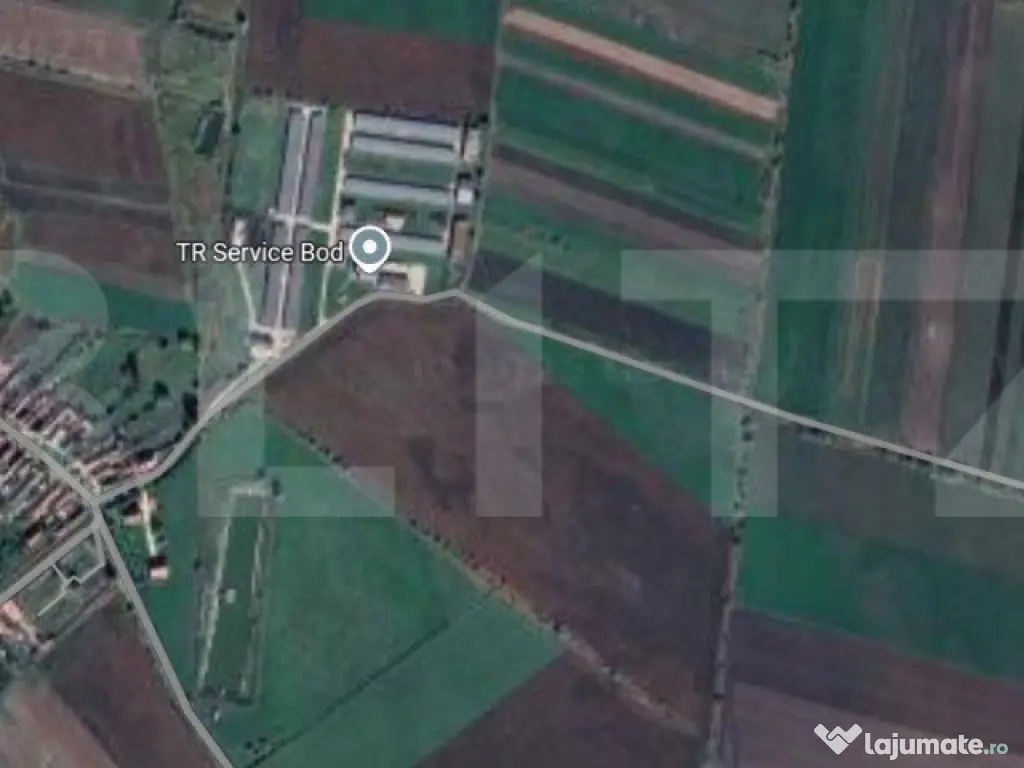 Teren extravilan de vanzare, 5000 mp, zona Bod