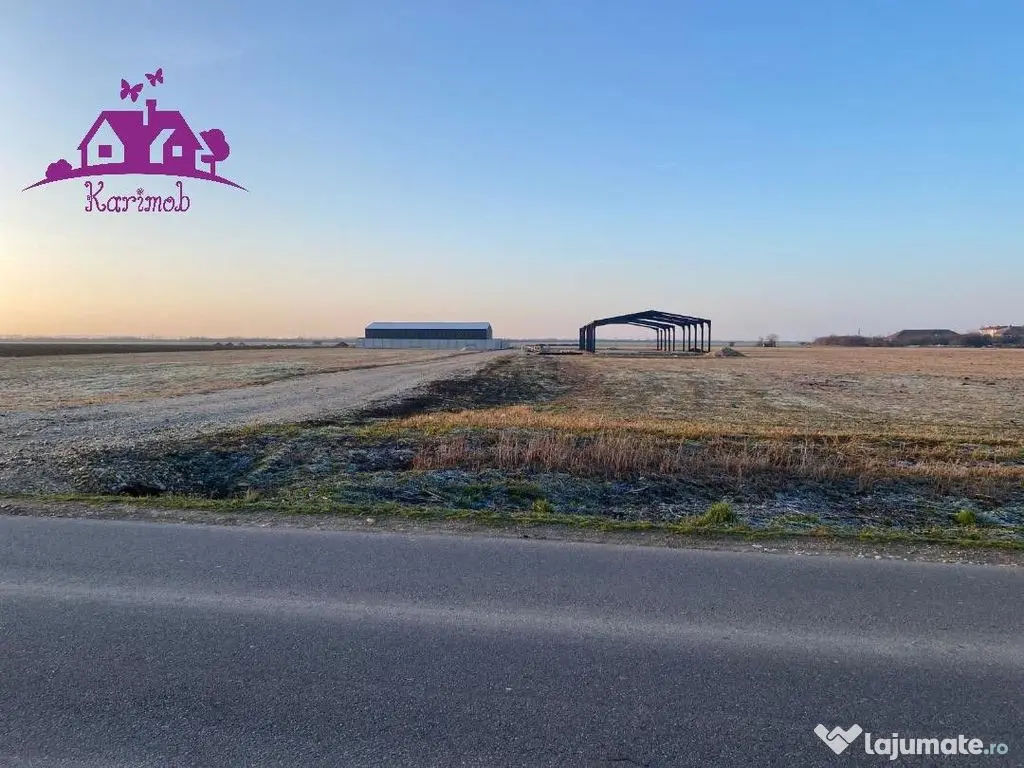 Parcele de teren industrial pentru diferite activitati ec... 