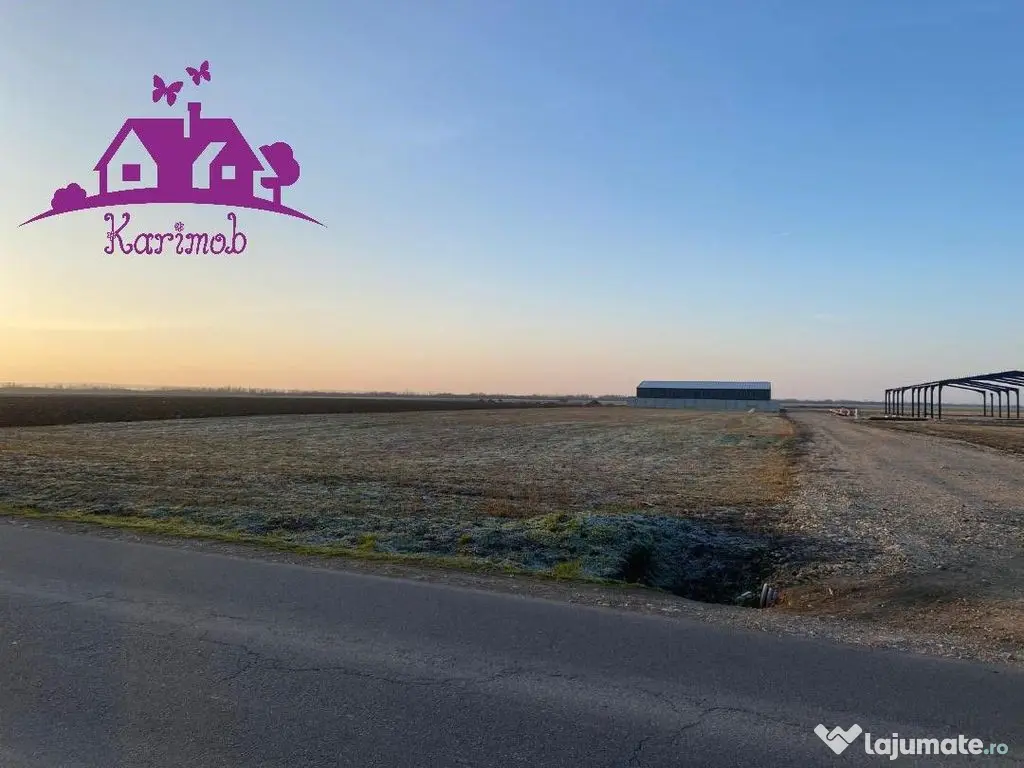 Parcele de teren industrial pentru diferite activitati ec... 