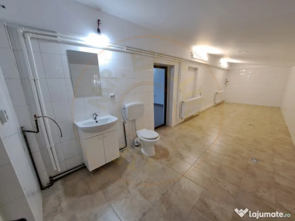 Spatiu Comercial Stradal – Spitalul Mioveni, Bd. Dacia, Ra