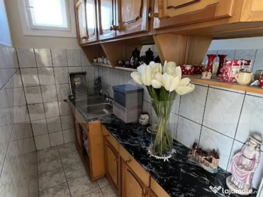 Vila individuala, 190 mp, 8 camere, garaj, curte, zona Lipov