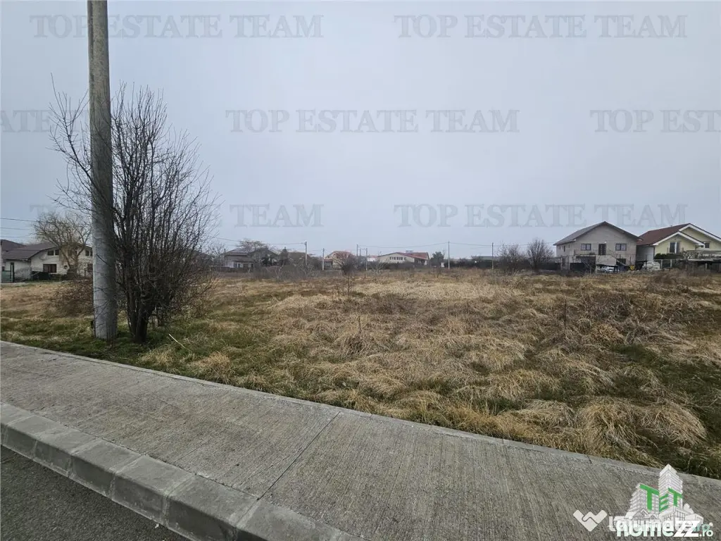 TEREN INTRAVILAN 1000 MP COSTINESTI