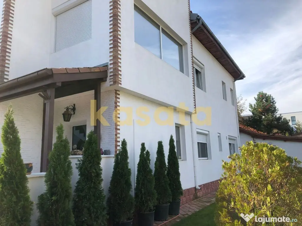 Vila deosebita 11 camere Erou Iancu Nicolae