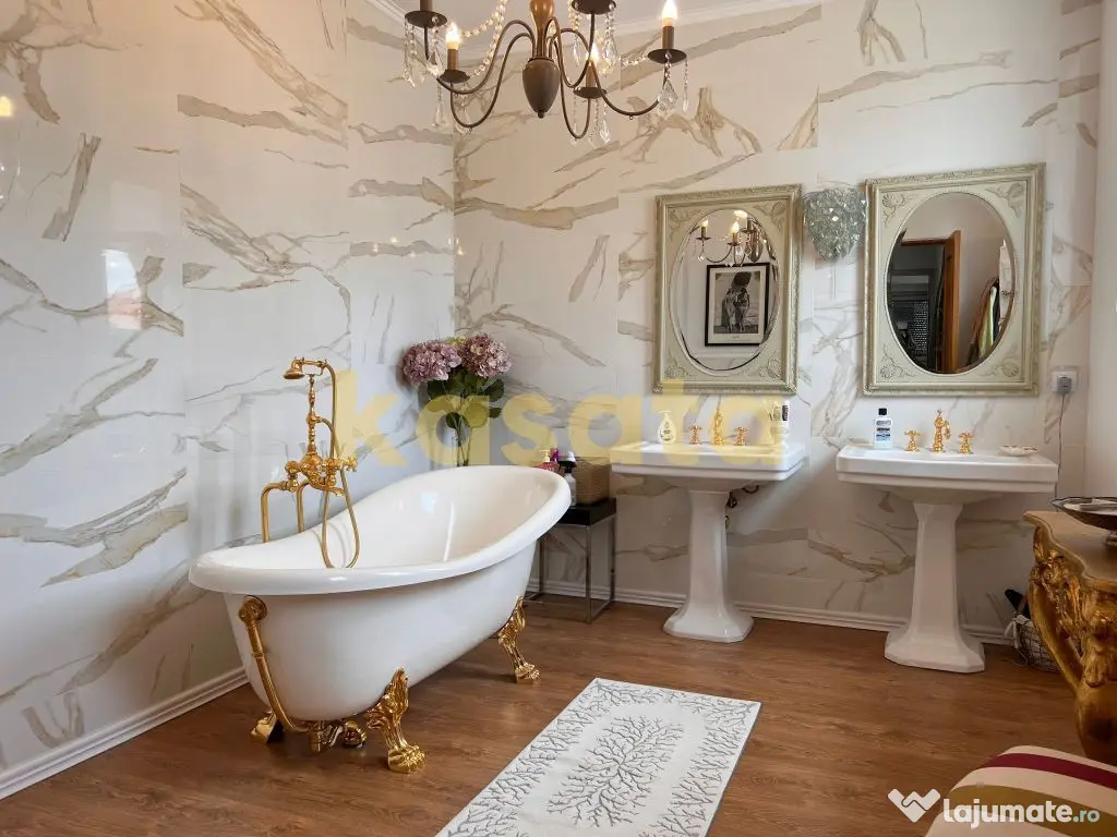 Vila deosebita 11 camere Erou Iancu Nicolae 