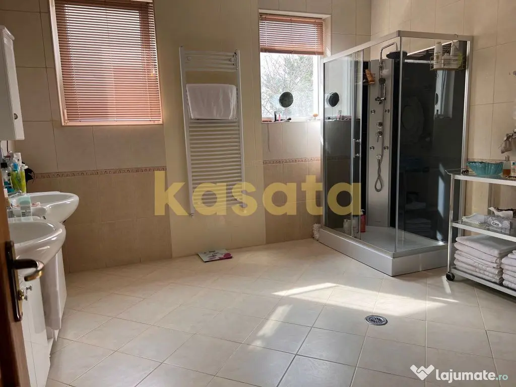 Vila deosebita 11 camere Erou Iancu Nicolae 