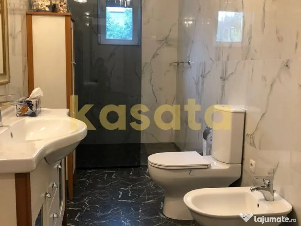 Vila deosebita 11 camere Erou Iancu Nicolae 