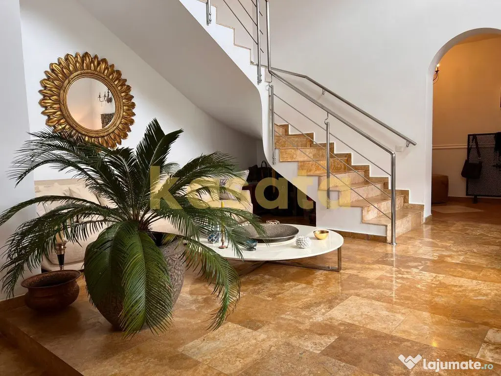 Vila deosebita 11 camere Erou Iancu Nicolae 