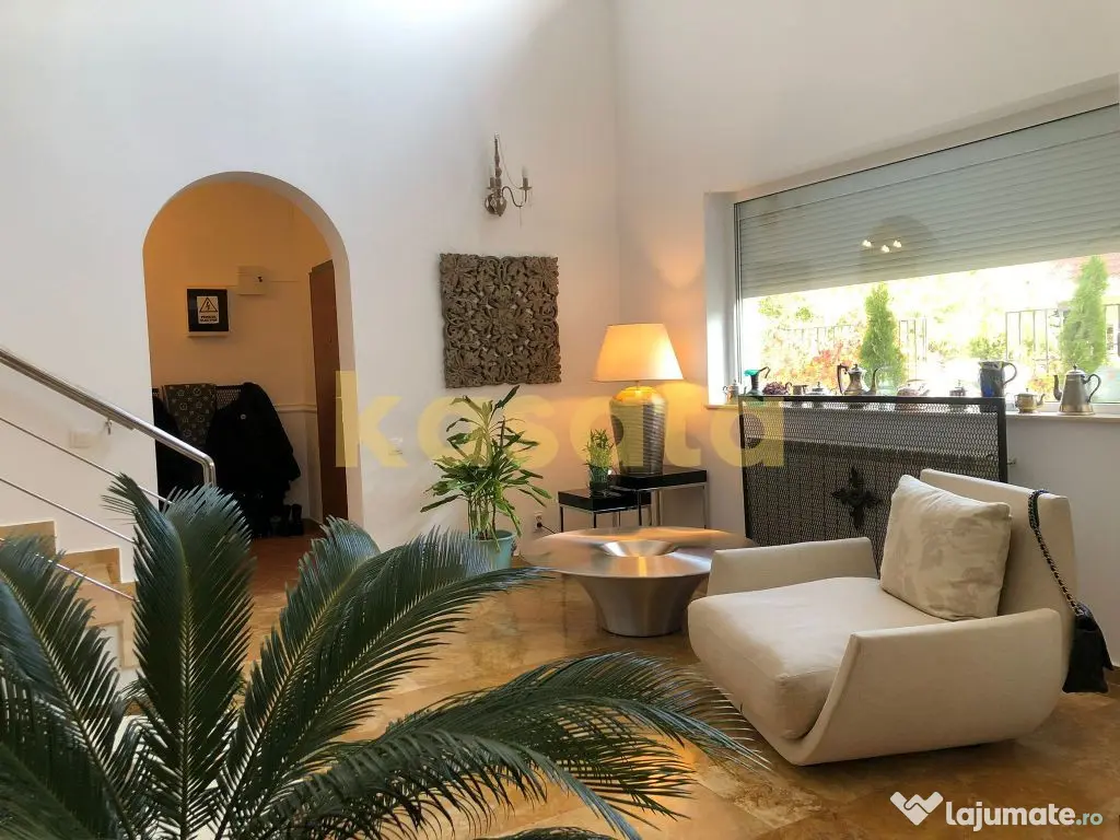 Vila deosebita 11 camere Erou Iancu Nicolae 