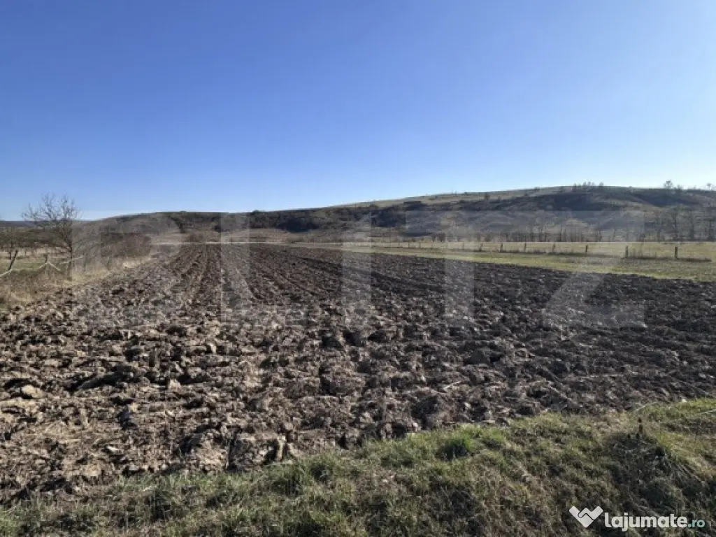 Teren intravilan 5.800 mp, potențial de parcelare-construc? 