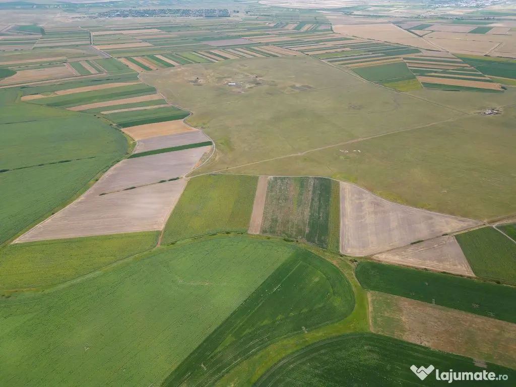 Teren arabil de 1299 hectare în Iași 