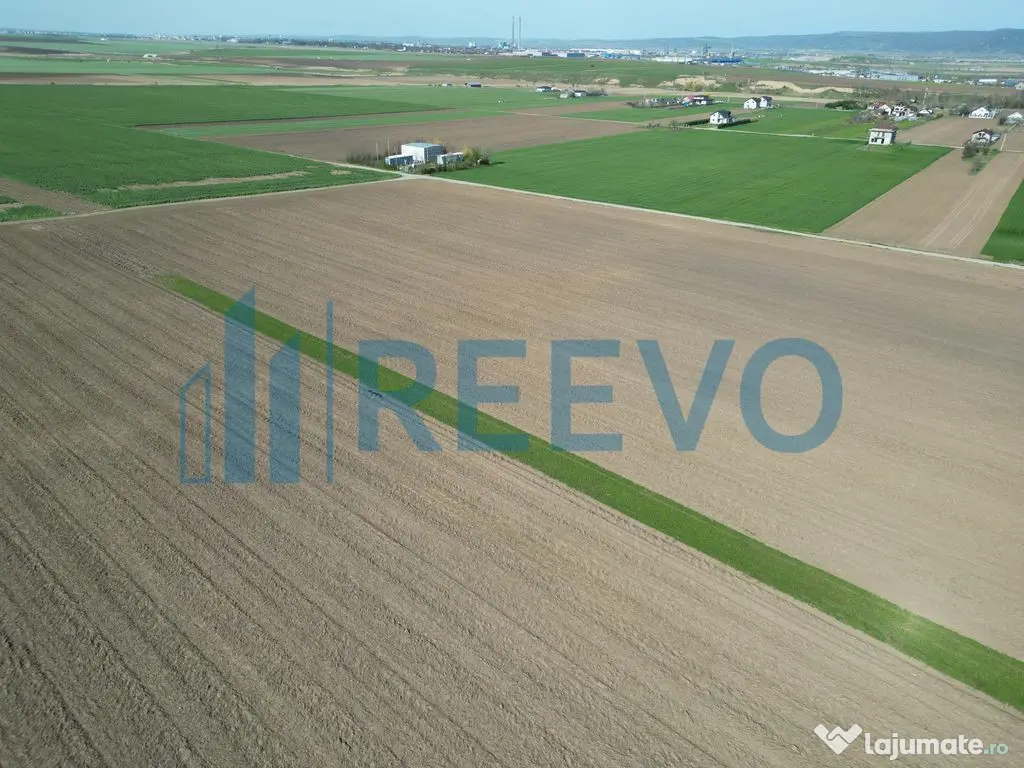 Teren de vânzare, Com. Nicolae Bălcescu, Jud. Bacău 