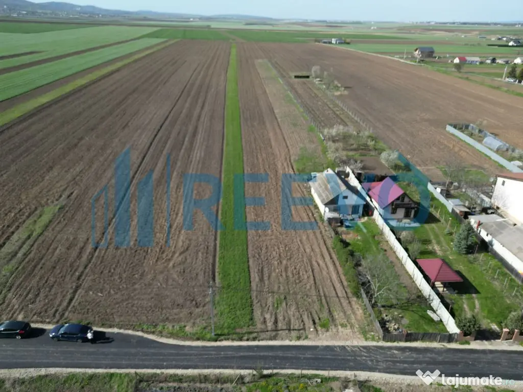 Teren de vânzare, Com. Nicolae Bălcescu, Jud. Bacău 