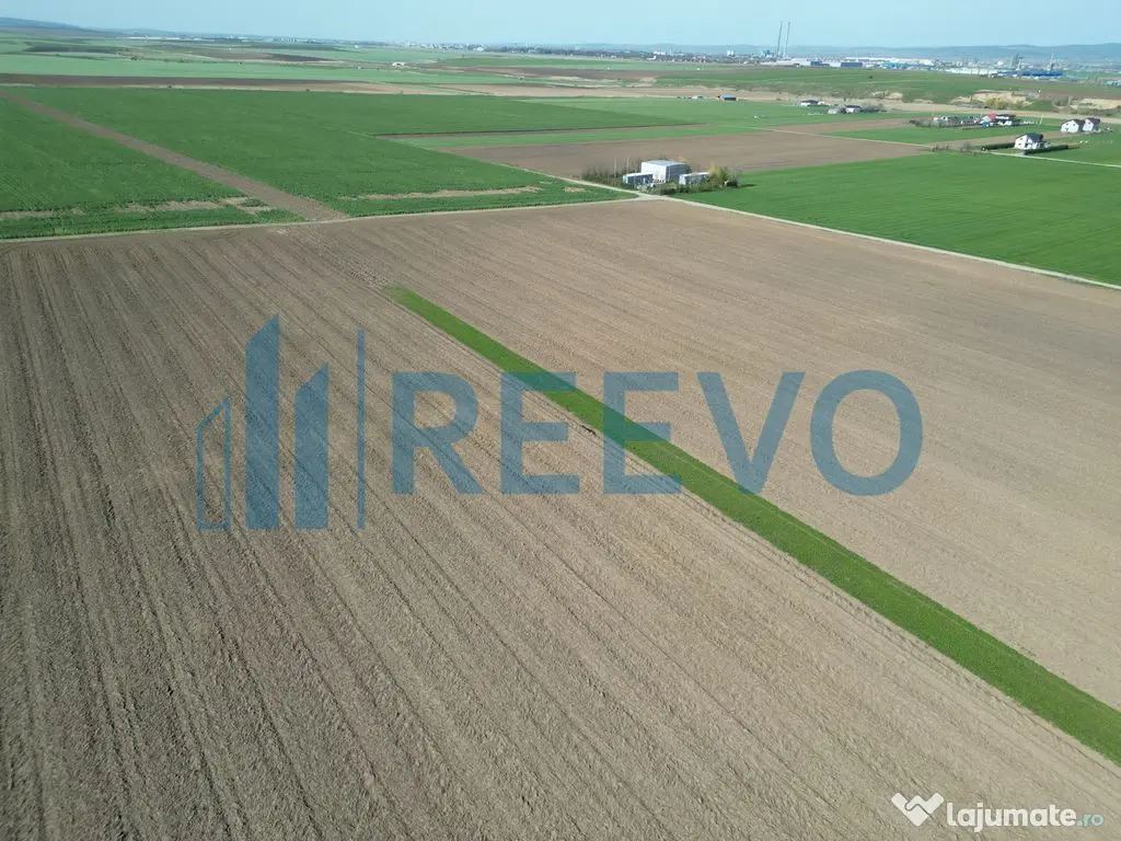 Teren de vânzare, Com. Nicolae Bălcescu, Jud. Bacău 