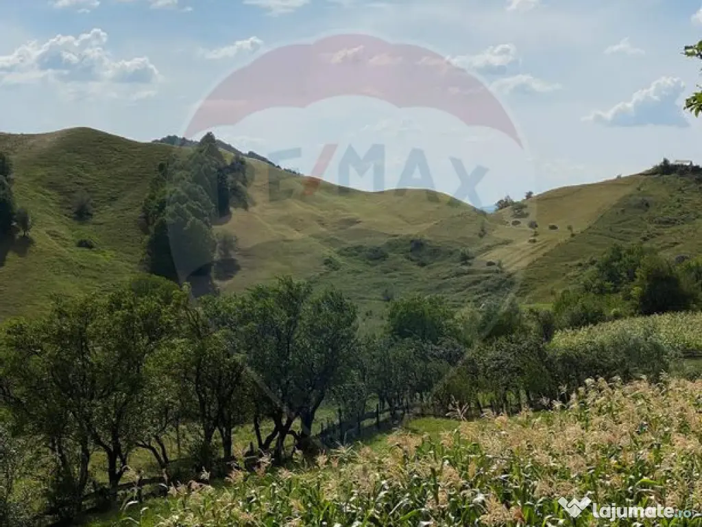 DE VANZARE Pensiune | 12 camere | Bisoca / Buzau 