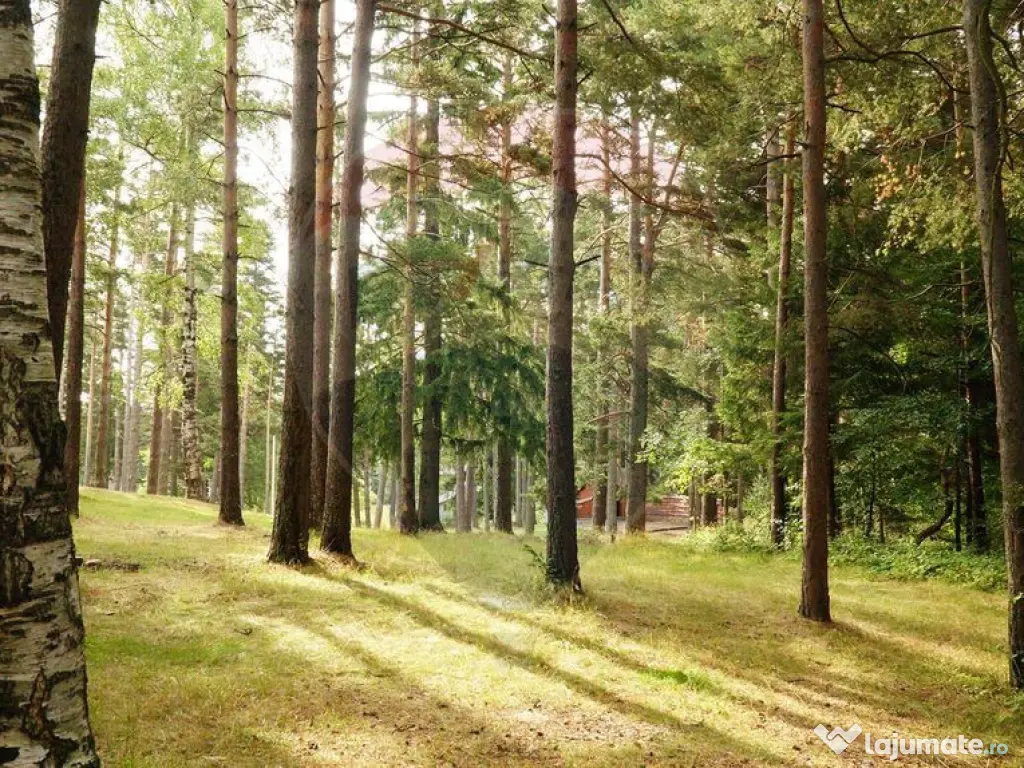 DE VANZARE Pensiune | 12 camere | Bisoca / Buzau 