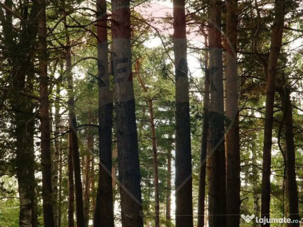 DE VANZARE Pensiune | 12 camere | Bisoca / Buzau 