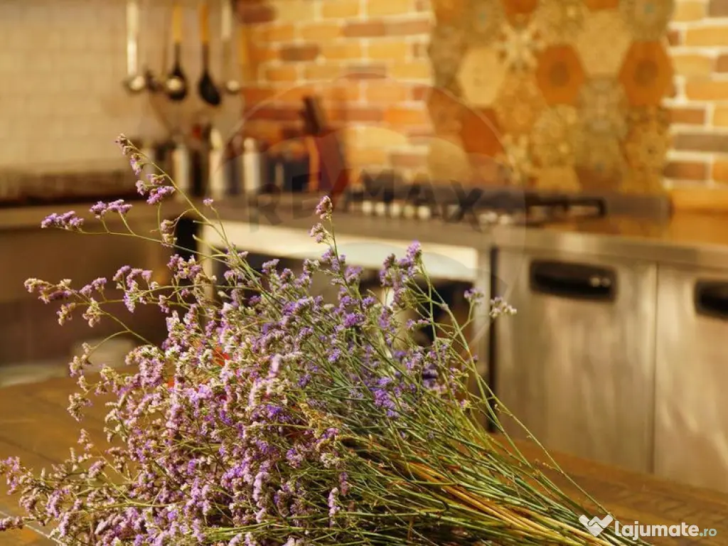 DE VANZARE Pensiune | 12 camere | Bisoca / Buzau 