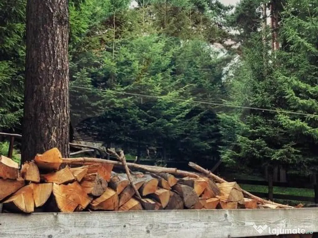 DE VANZARE Pensiune | 12 camere | Bisoca / Buzau 