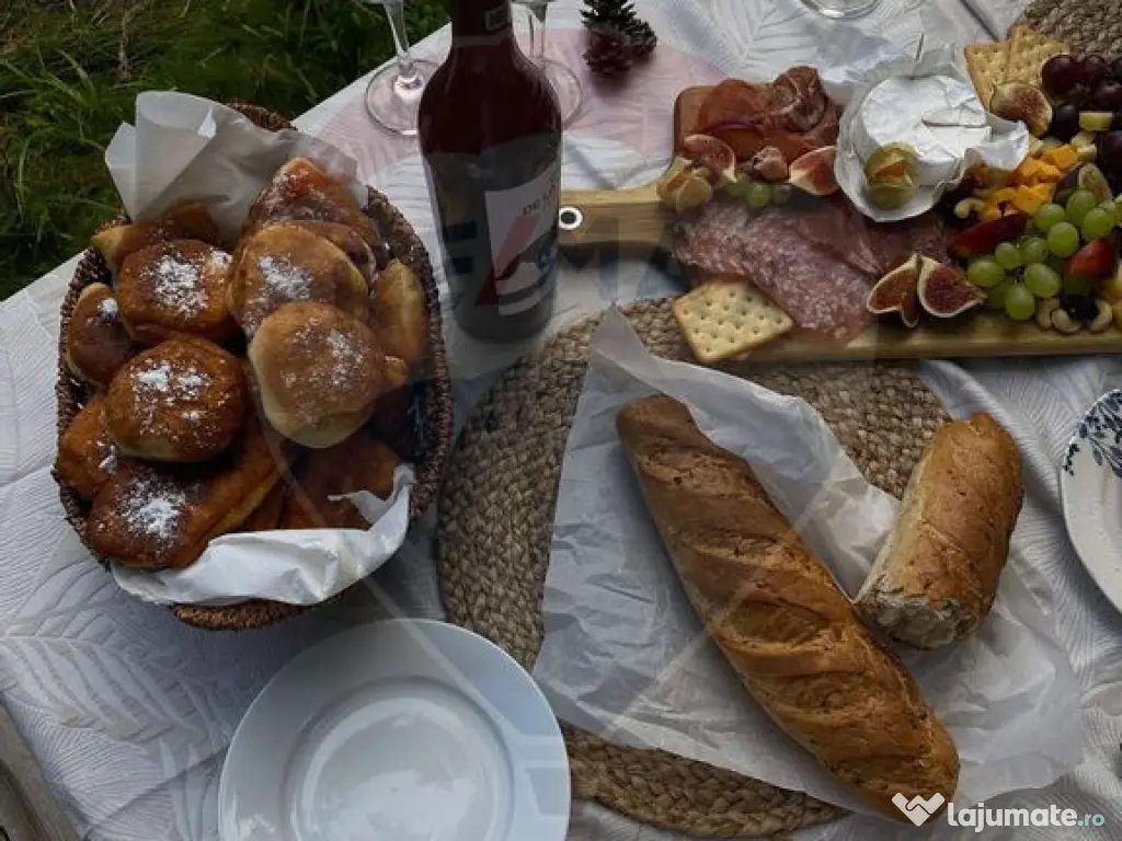 DE VANZARE Pensiune | 12 camere | Bisoca / Buzau 