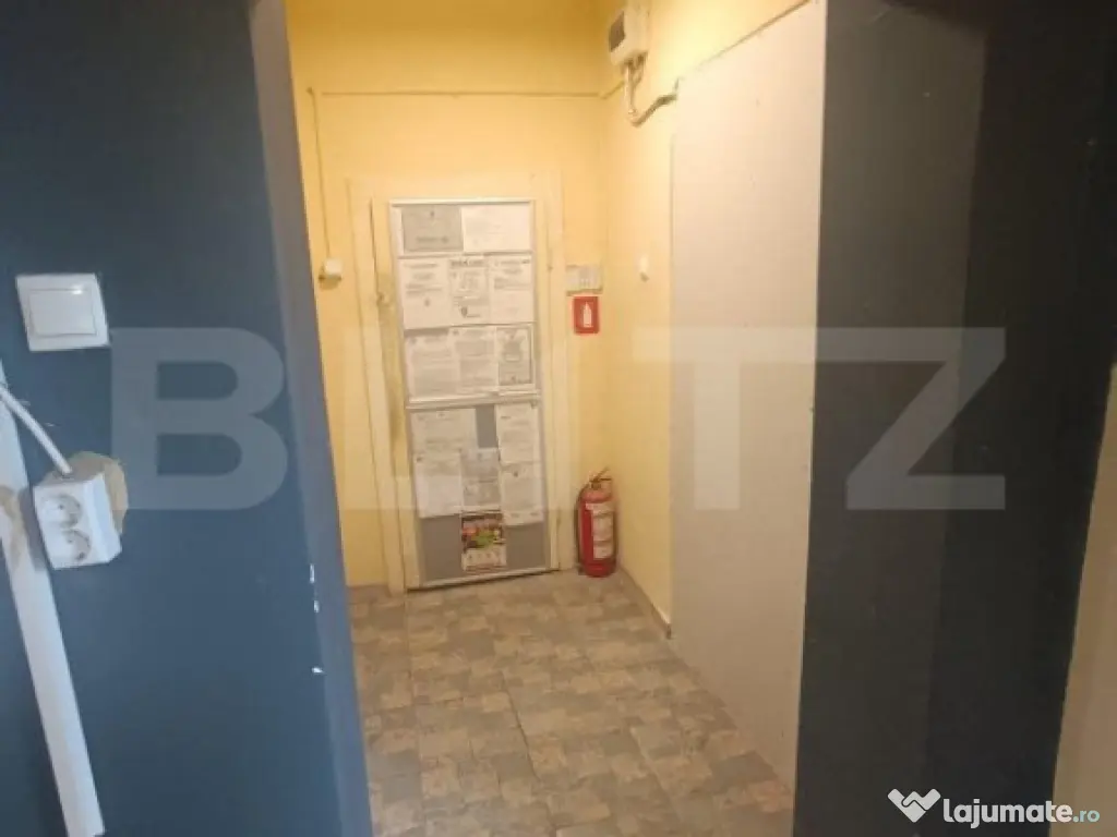 Casa cu vad si afacere, 2 camere, 52 mp+teren de 292 mp, Tim