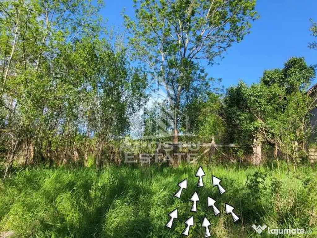 Teren intravilan, In Rate Cuied Arad 