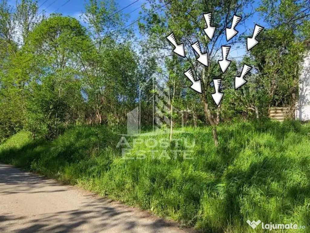 Teren intravilan, In Rate Cuied Arad 