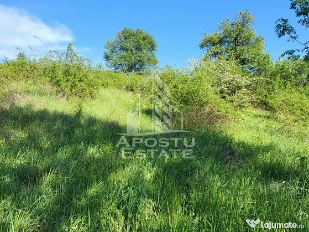 Teren intravilan, In Rate Cuied Arad 