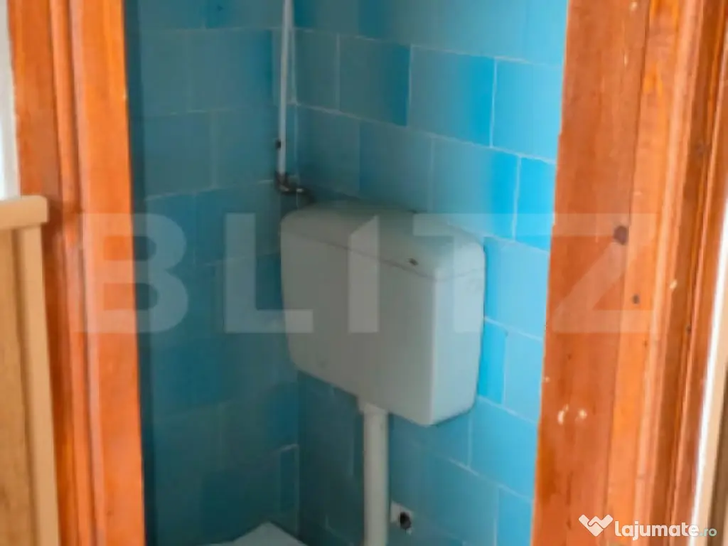 Proprietate cu teren generos 1.500 mp Casă P+1 Voinesti