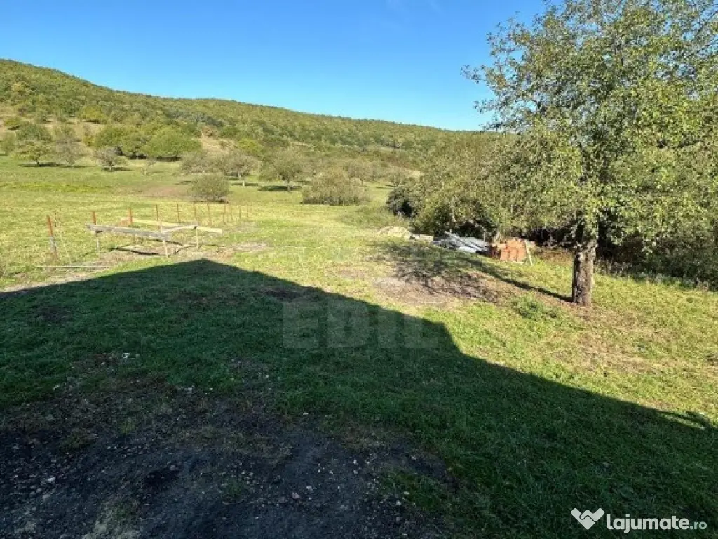 Casa individuala zona Sanaslaului