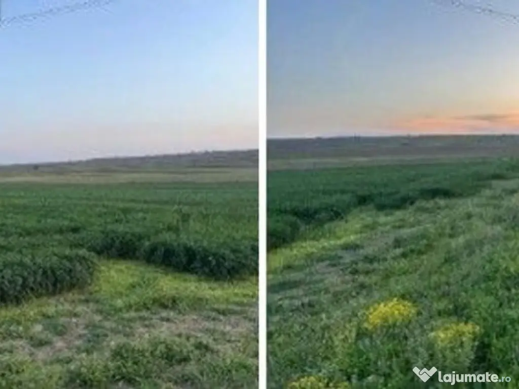 Teren cota parte 1/6 Paunesti, ID: R2547851