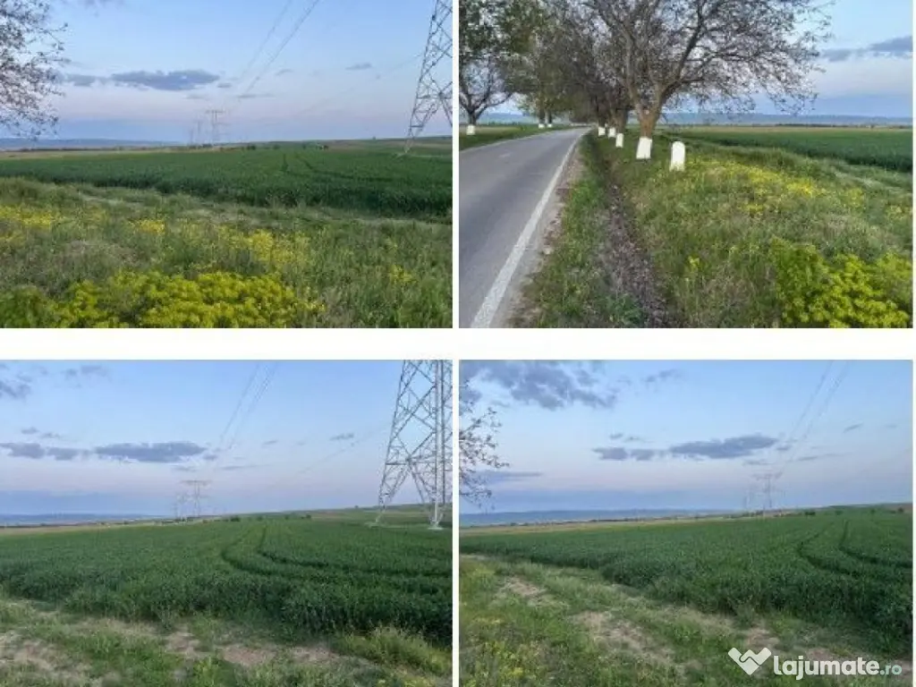 Teren cota parte 1/6 Paunesti, ID: R2547851