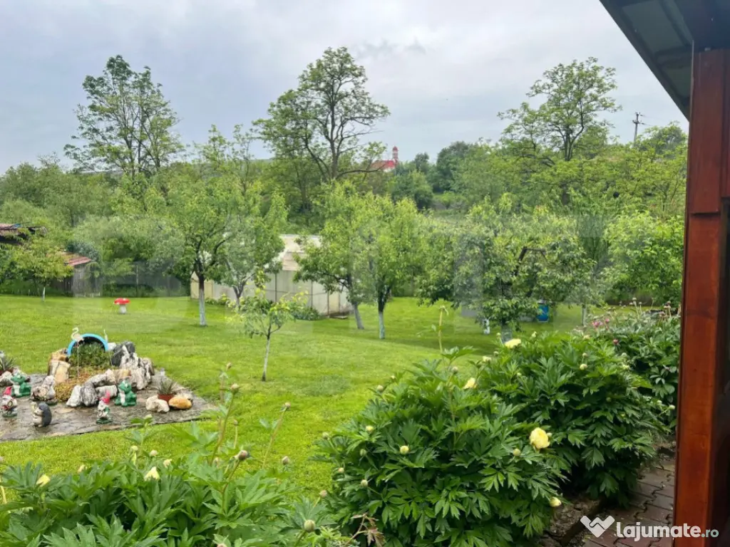 Casă de lemn cu teren generos – 1500 mp în Cerghid, lini