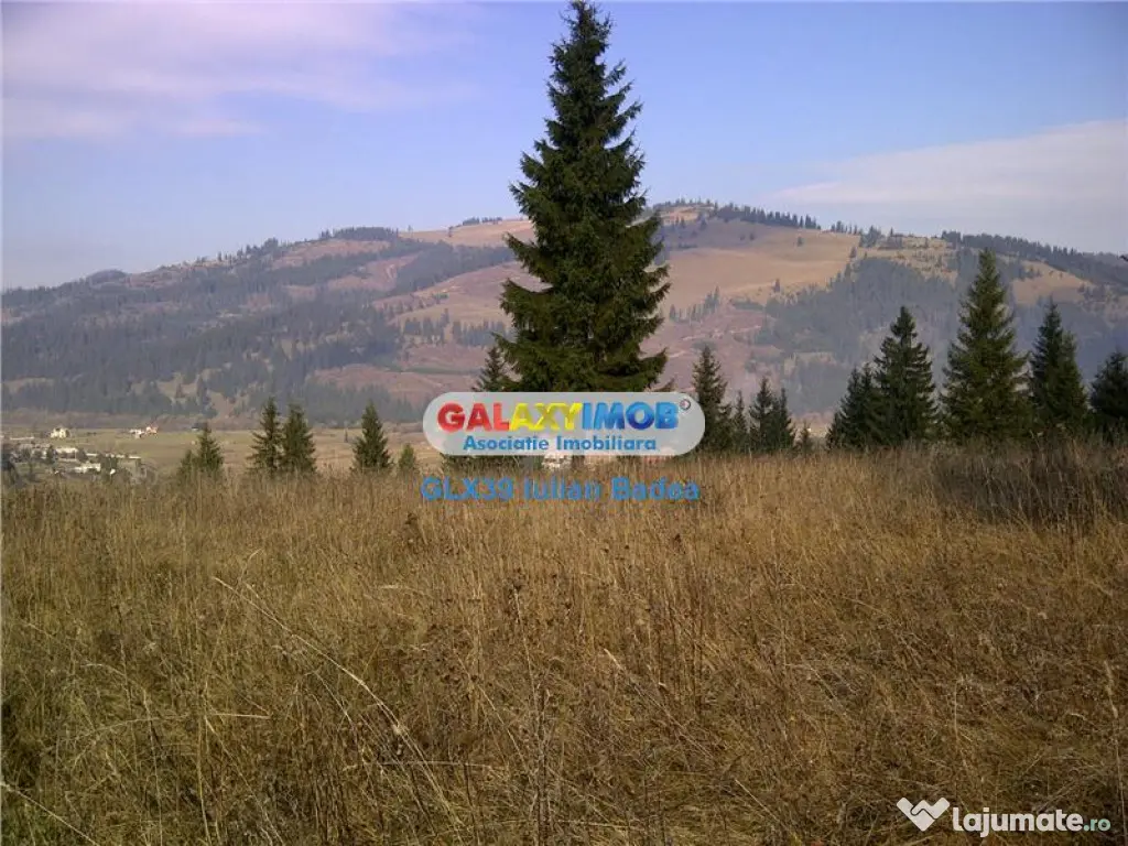 Teren pentru Complex Turistic - 12 730 mp - Vatra Dornei 