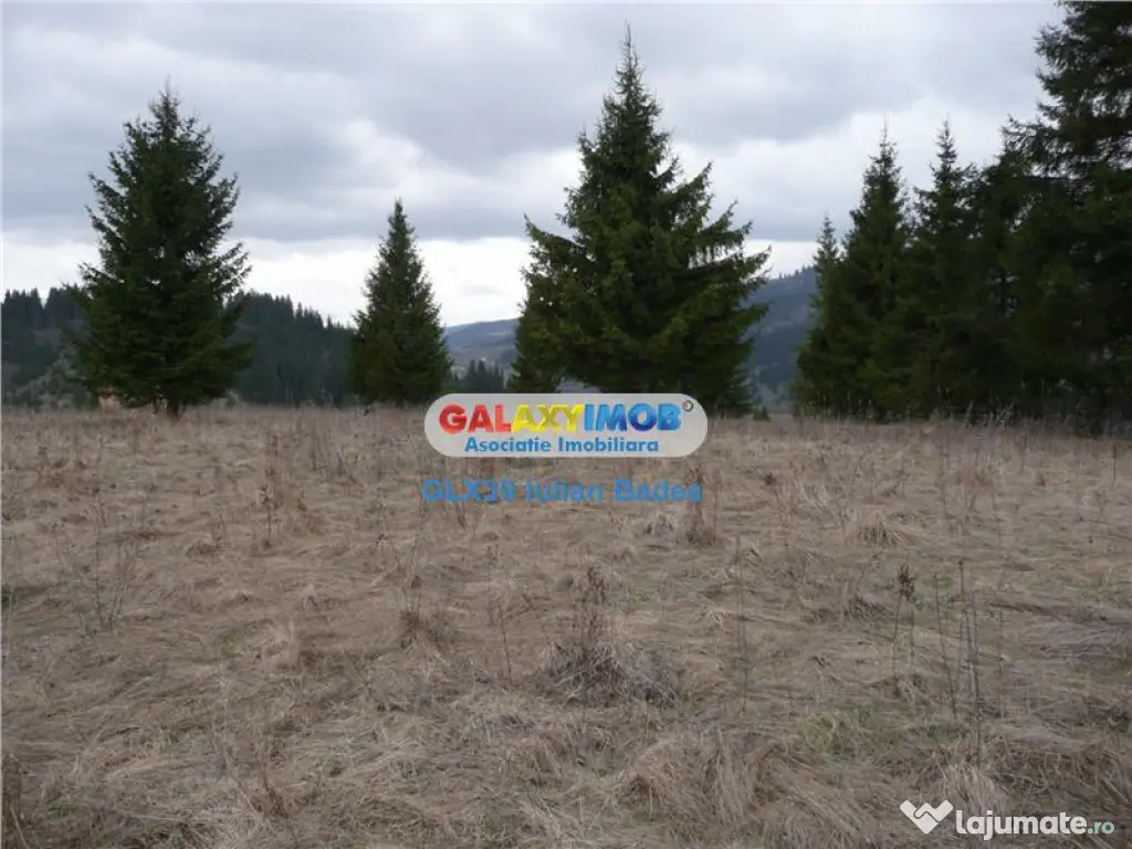 Teren pentru Complex Turistic - 12 730 mp - Vatra Dornei 