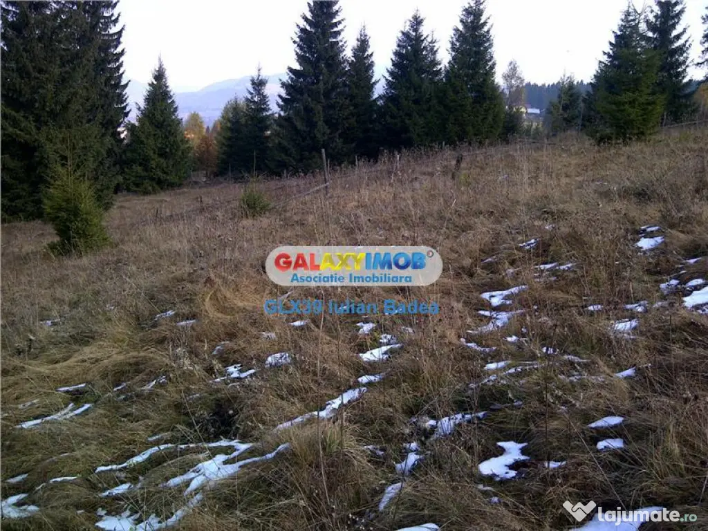 Teren pentru Complex Turistic - 12 730 mp - Vatra Dornei 