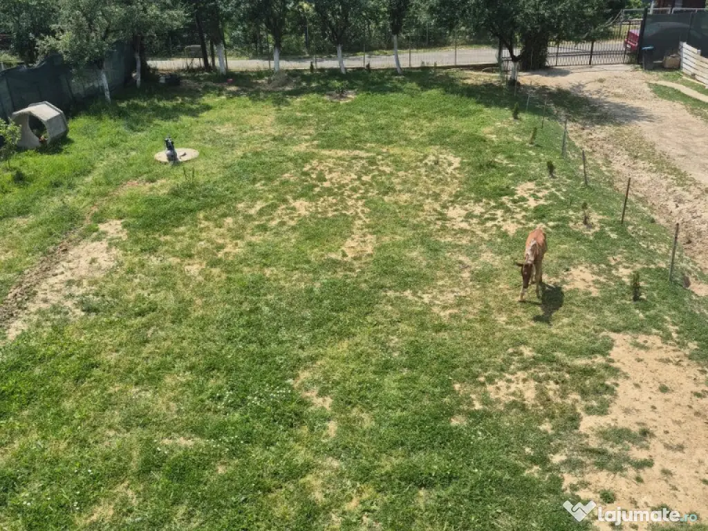 Str. Corbului, casa P+1, 30 ari teren 